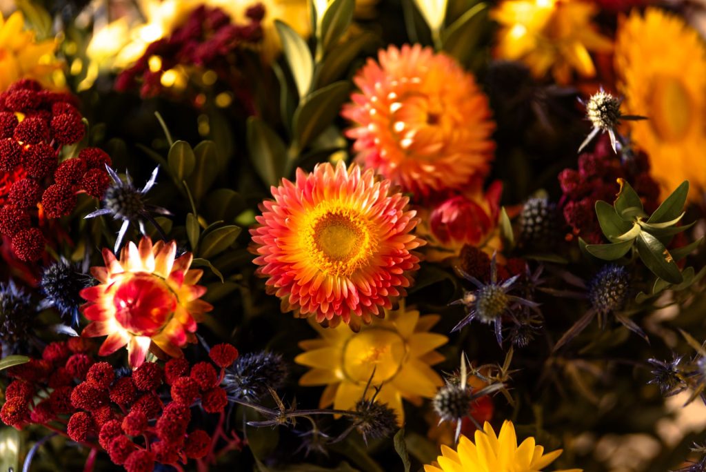 A Guide to Seasonal Flowers: Choosing the Perfect Blooms for Every Time of Year