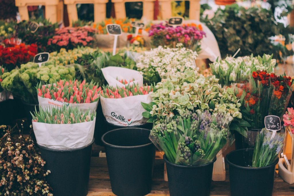Top Tips for Ordering Flowers from Nottingham Florists