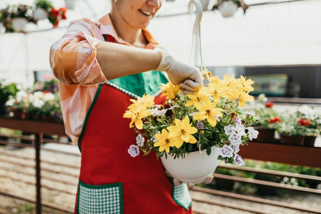Flower and Plant Care FAQs: Expert Tips and Advice from Welch