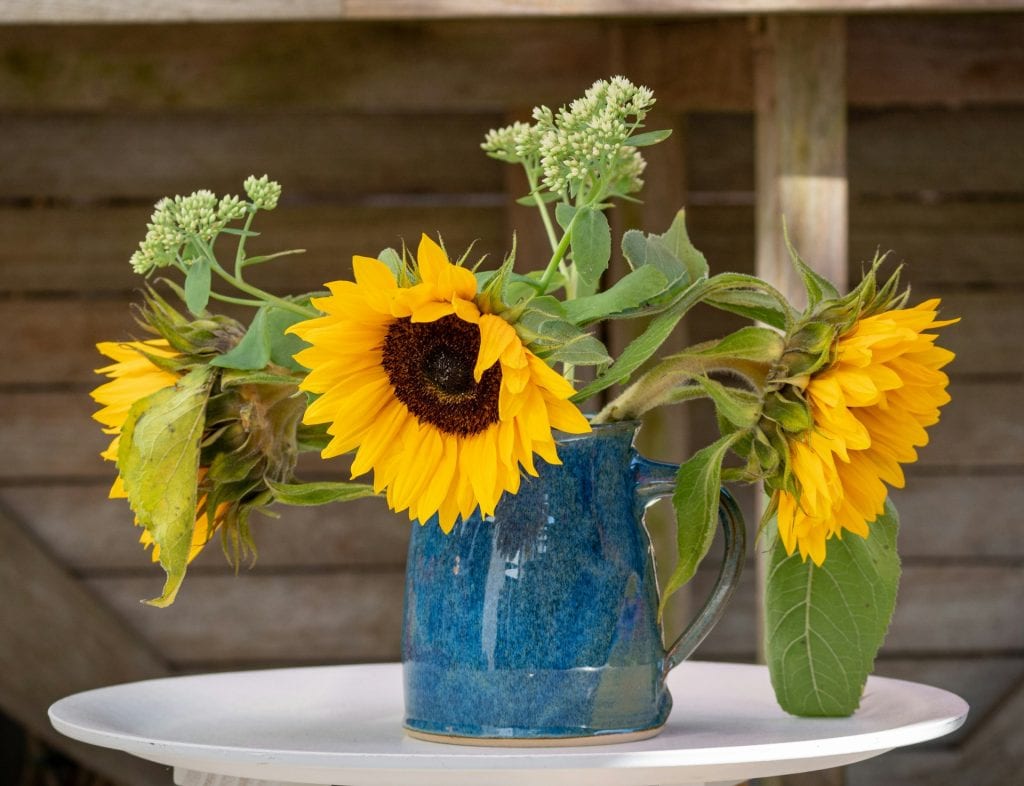 A Seasonal Guide to Summer Flowers for Your Home