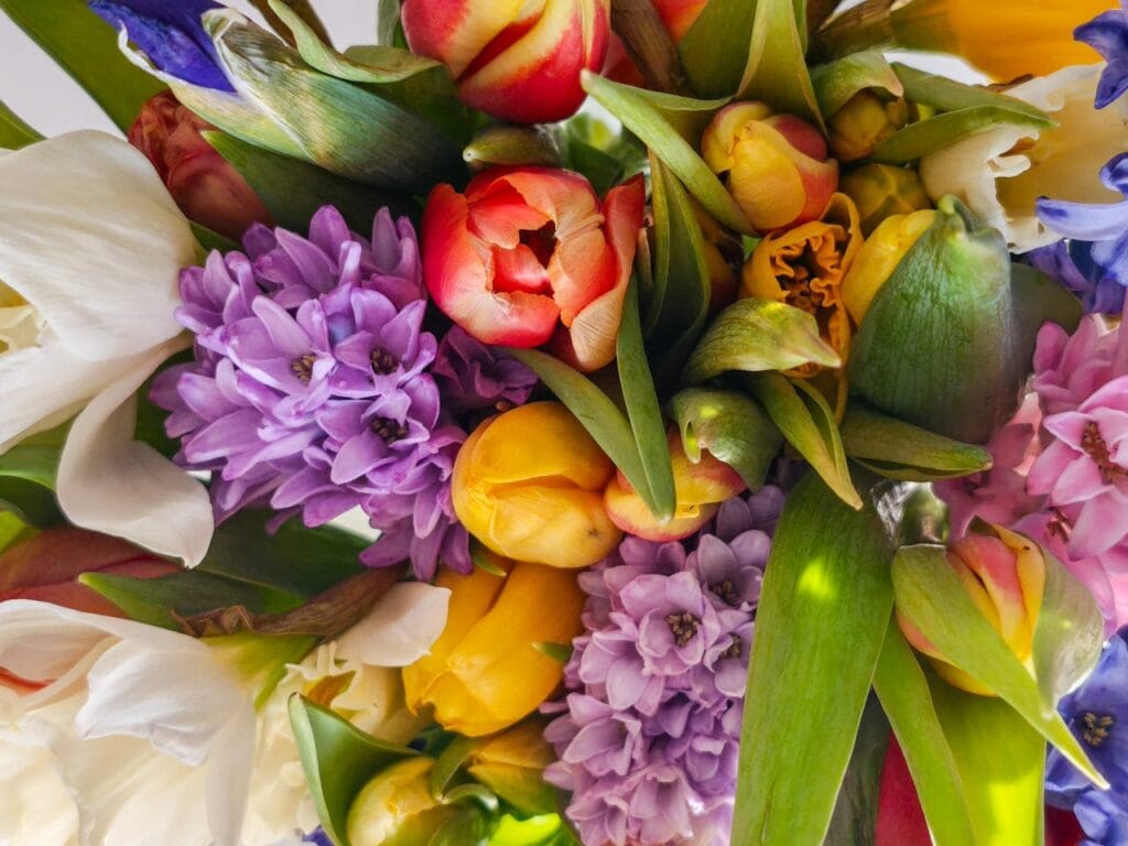 Why You Should Never Delay Sending Get Well Flowers in Spring