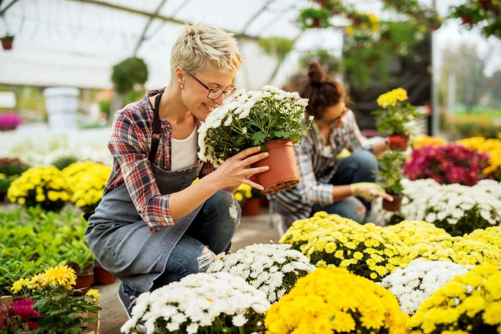 East Midlands Family Business: Our Journey in the Flower Industry