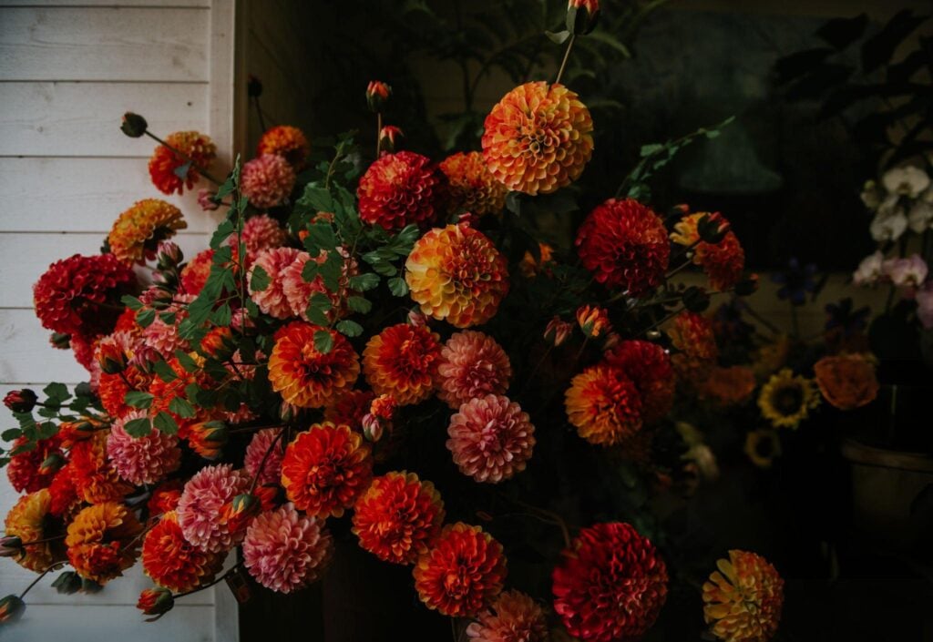 Autumn flower inspiration