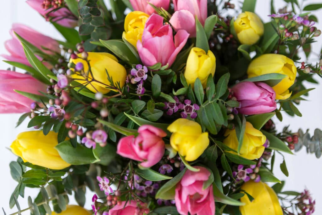 What Spring Flowers Mean to Nottingham Locals This Time of Year