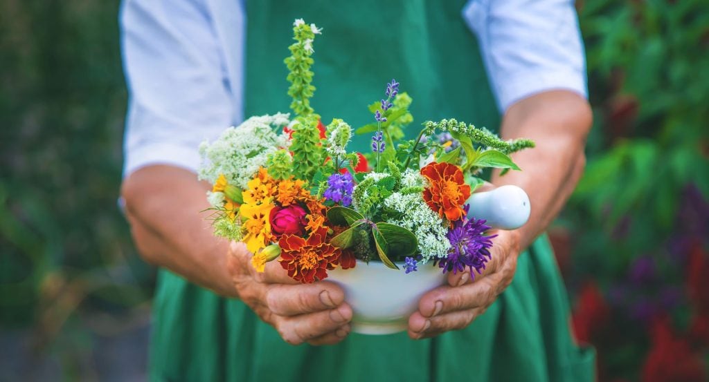 Embrace the Holistic Potential of Flowers and Plants for Healing and Wellness