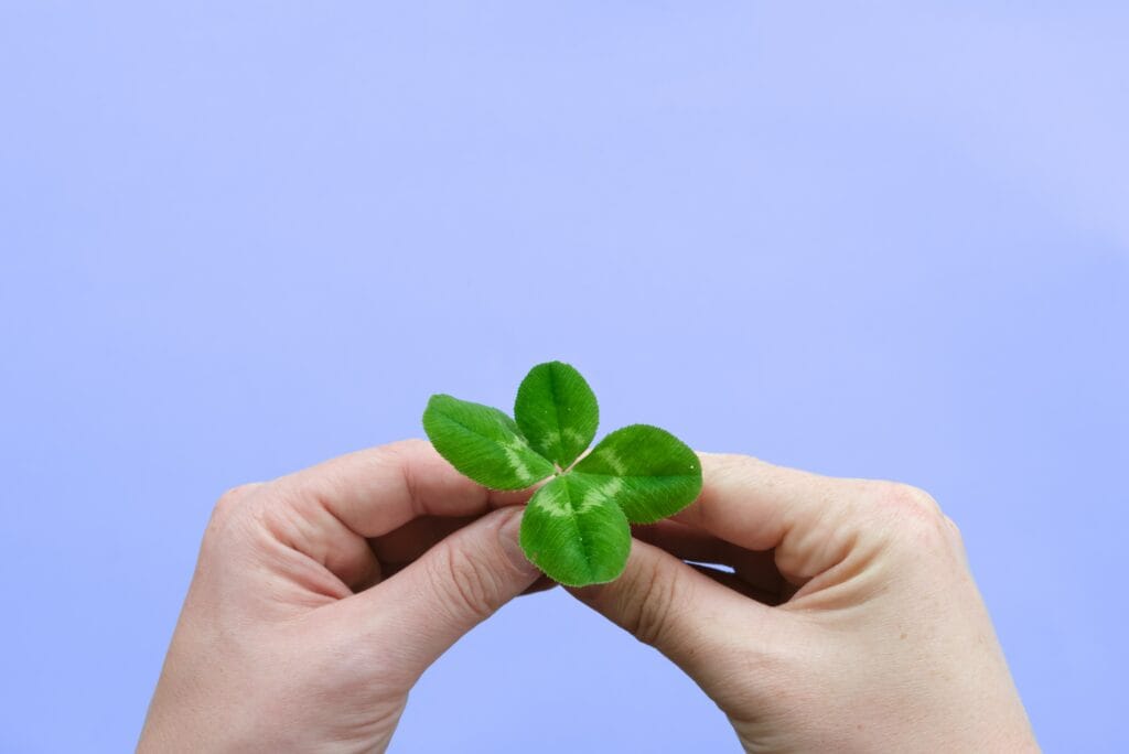 The Lucky Link: St. Patrick’s Day and the Four-Leaf Clover