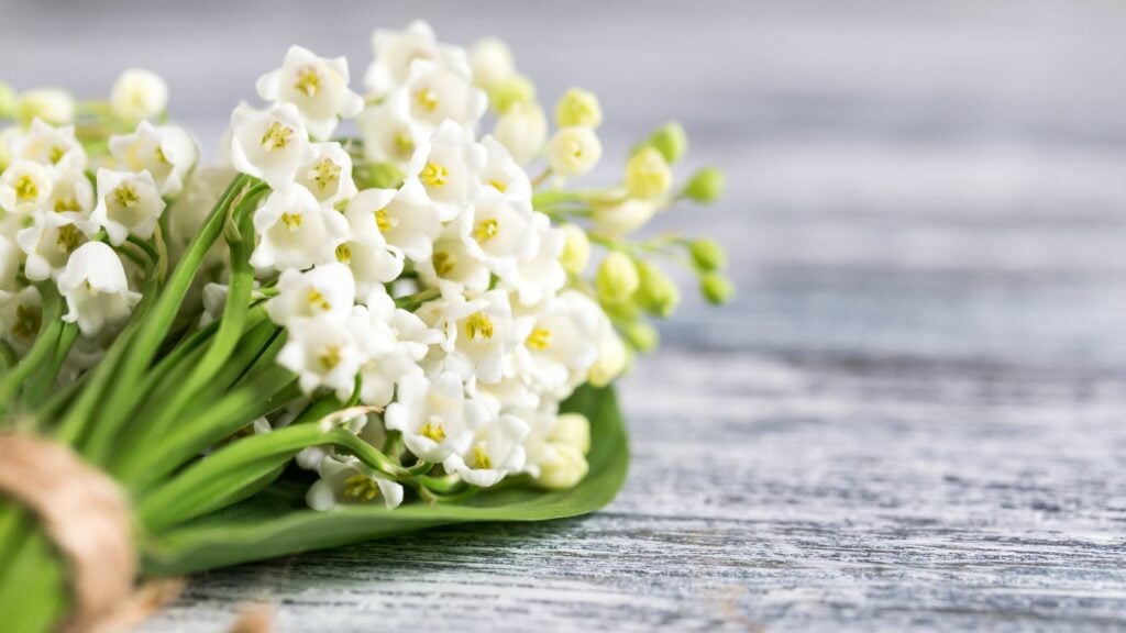Birth Flowers of May: A Historical and Cultural Perspective
