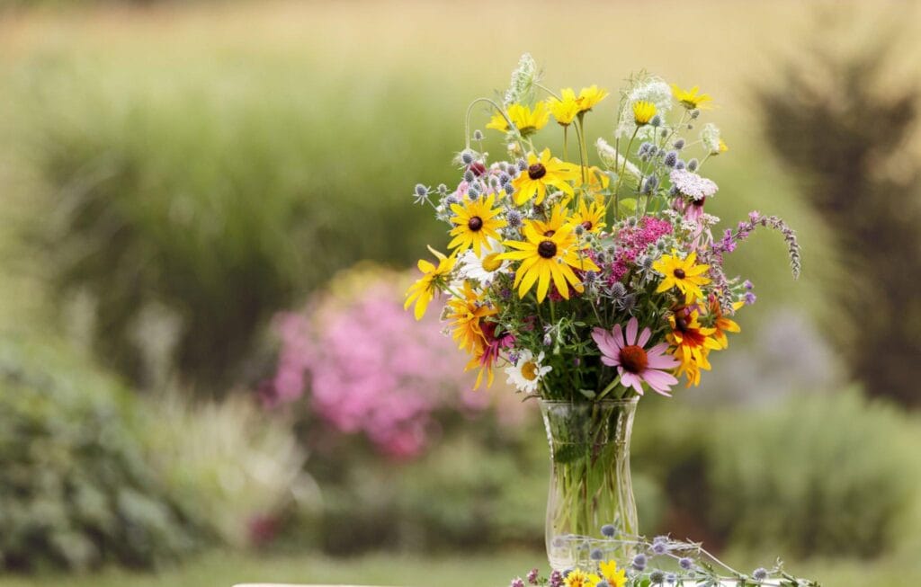 Summer Flower Care: Keeping Your Blooms Fresh in the Heat