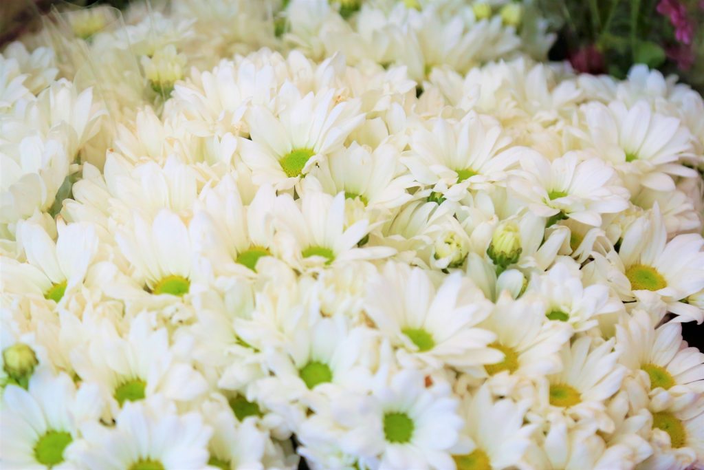 Keeping Funeral Flowers Fresh During Services