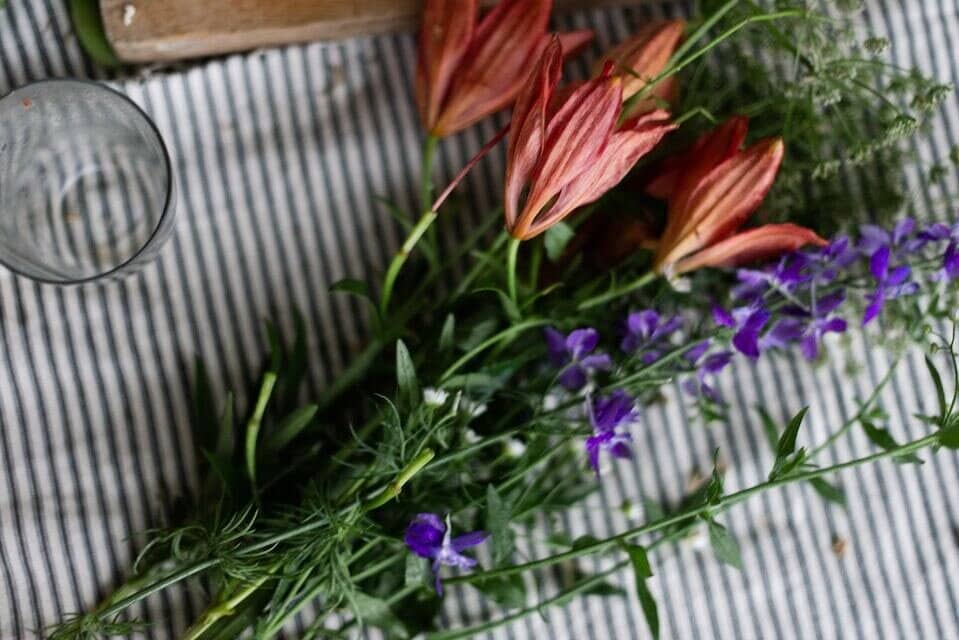 July Birth Flowers – Unveiling the Charm and Symbolism of Larkspur and Water Lily
