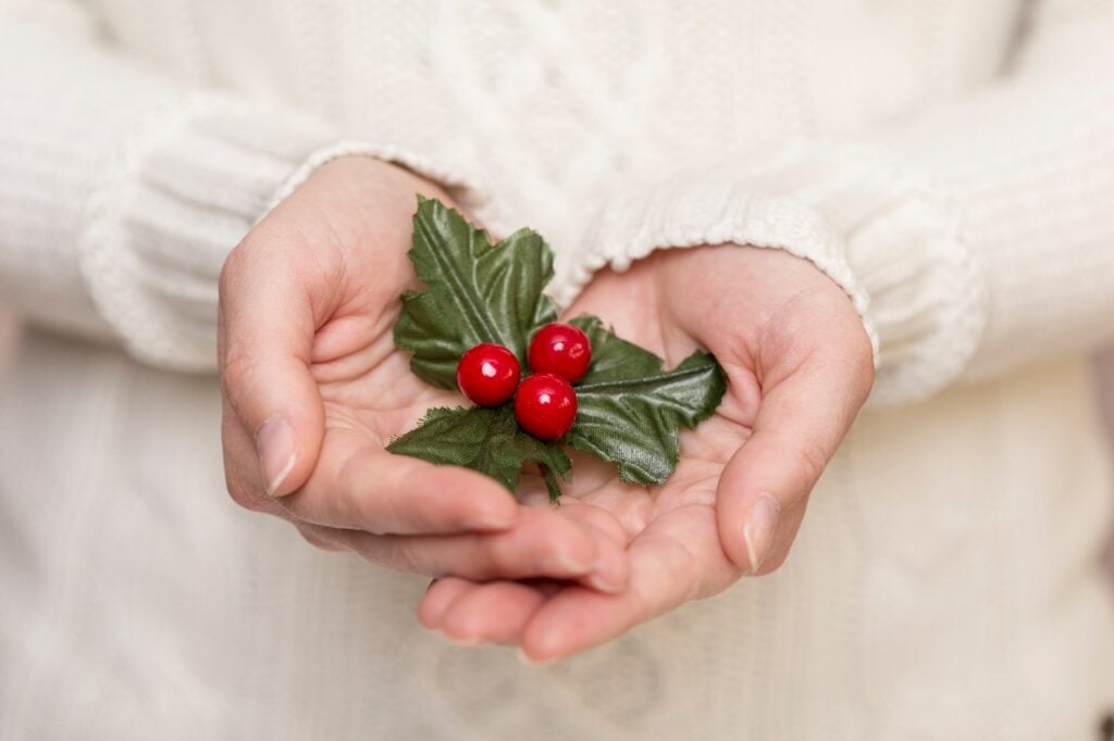 Why Do People Kiss Under Mistletoes: What You Need to Know