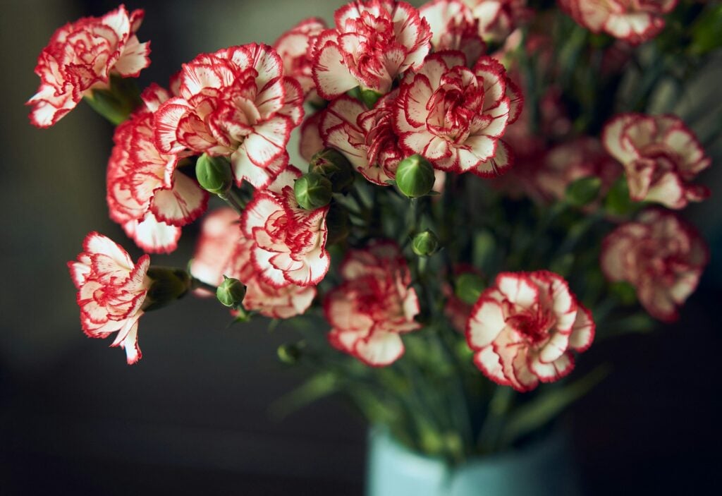 Solutions for Vase Life Extension Problems