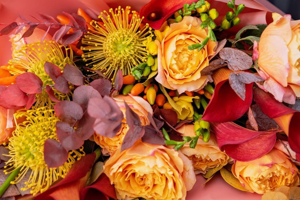 Discover the Splendour of Seasonal Flowers with Our Comprehensive Year-Round Guide