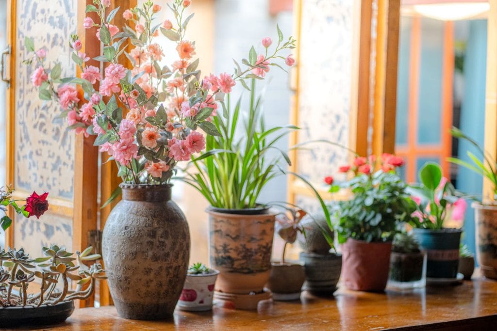 Design a Tranquil Haven: Create a Zen Space with Flowers and Plants