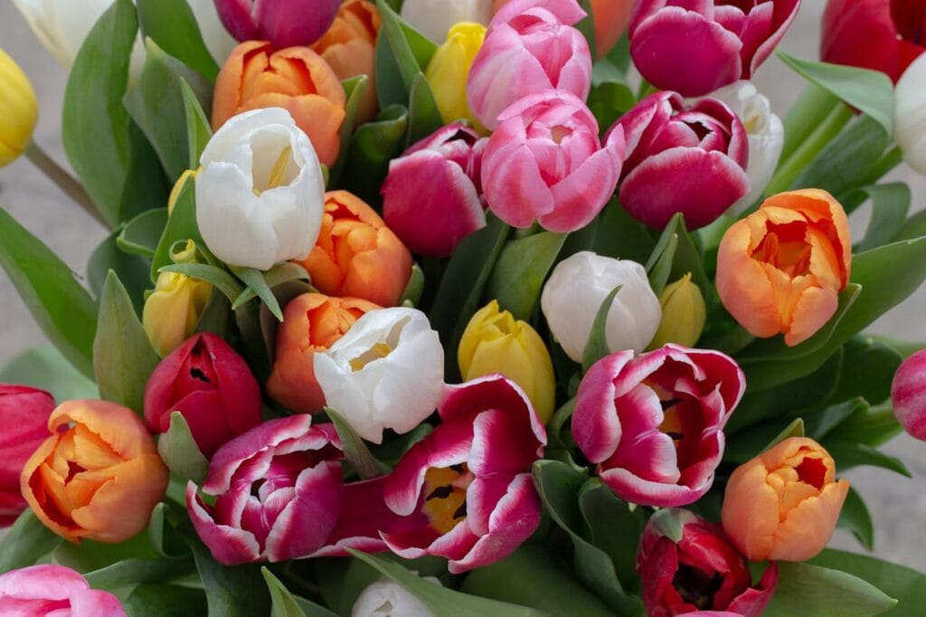 How to Choose Thank You Flowers That Actually Feel Thankful