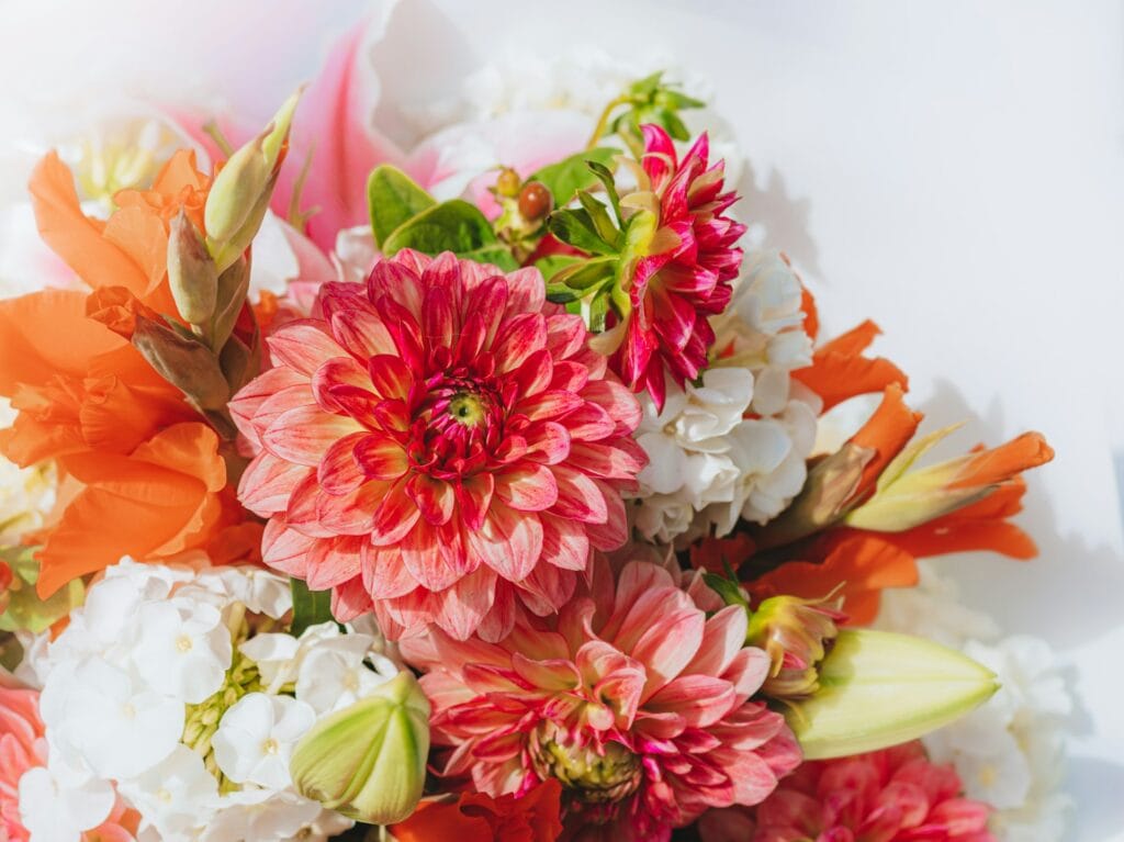 The Right Way to Store Your Nottingham Spring Flowers at Home