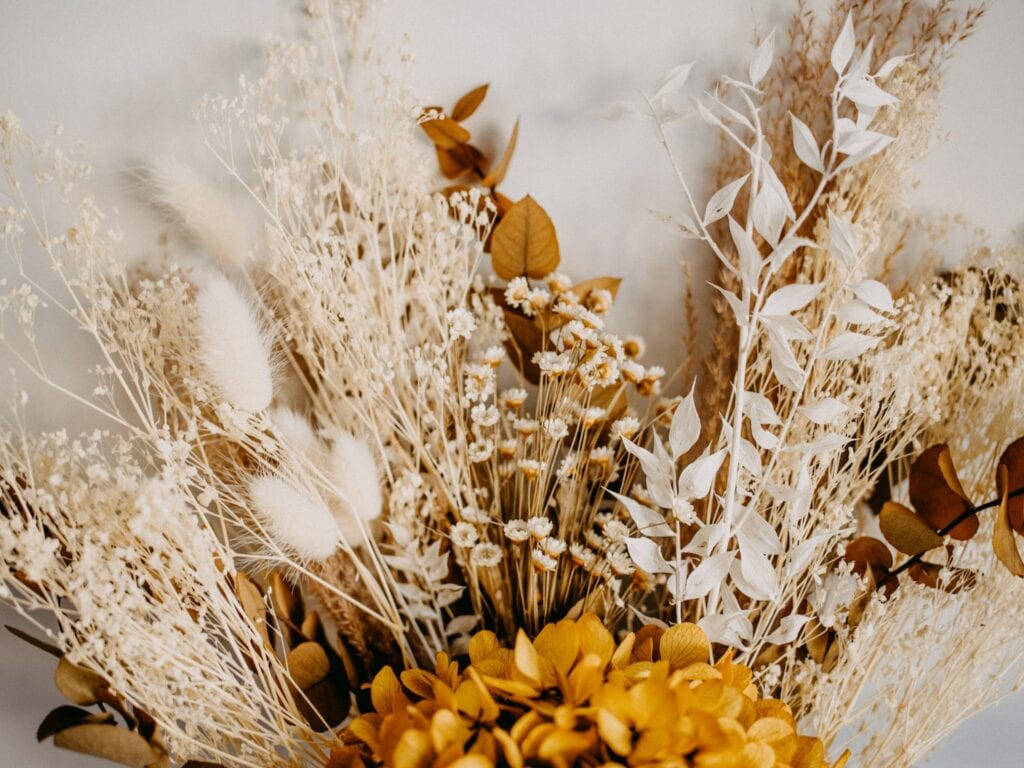 The Art of Dried Flower Arrangements: Revitalising Your Home Décor with Lasting Beauty